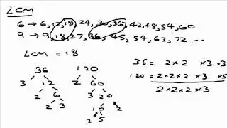 HCF, LCM, Square & Cube Roots