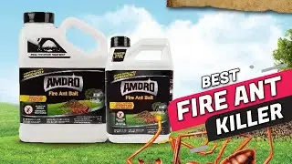 5 Best Fire Ant Killers Review 2023 | Kill in Hours & Kills the Queen and the Entire Mound