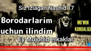 Siz Izlagan Nashid 17 Ey Mujohid Erkaklar