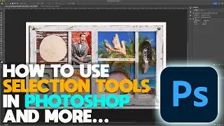 How to use Selection tools in Photoshop 2024