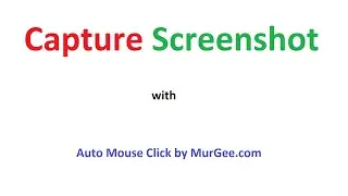 Capture Screenshot with Script