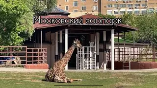 Московский зоопарк