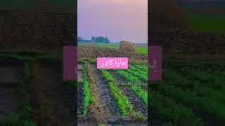 السلام علیکم ائیے اپ لوگ بھی ہمارا گاؤں دیکھیے ہمارا گاؤں بہت خوبصورت ہے
