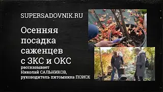 Осенние посадки деревьев и кустарников: что сажать, а что отправить в прикоп?