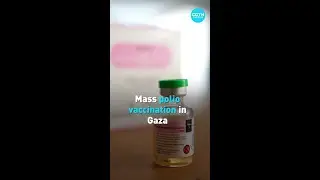 Mass polio vaccination in Gaza