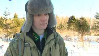 Нарубить на срок