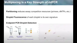 Advanced ddPCR Concepts: Radial Multiplexing