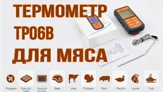 Thermometer ThermoPro TP06S for cooking meat