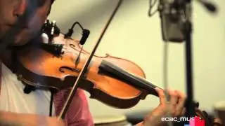 Jesse Cook | Cafe Mocha