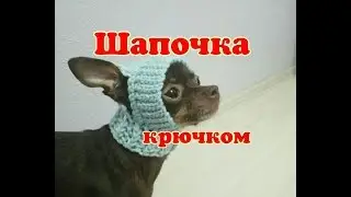 Шапочка для собаки крючком,  DIY suit for dogs & cats