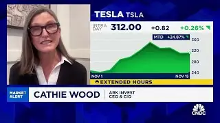 Cathie Wood Said Tesla Will Double In 30 Days | TSLA Stock News