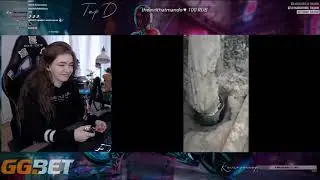 ELLVI Смотрит: Dank Webm Compilation #78