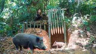 Make a trap cage to trap wild board, Wild boar trapping skills, surrvival alone