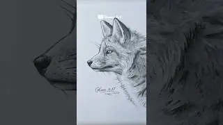 How to draw a Fox 🦊 