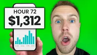 $1,312 in 72 Hours Dropshipping (Secrets Revealed)