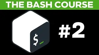 The Bash Course: Important Commands in Bash! Lecture #2