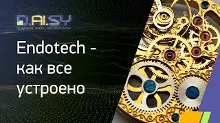 Endotech: как все устроено?