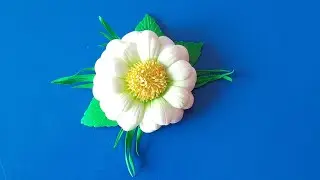 Ромашки