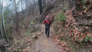 Oregon's Eagle Creek Trail reopens after 2017 fire