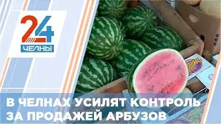 В Челнах будет усилен контроль за продажей дынь и арбузов
