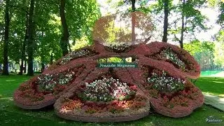 Imperial Gardens of Russia. Flowers of Life (2016)