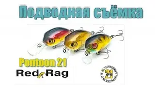 Кренк от Pontoon 21 Red Rag подводная съёмка!