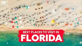 Find the best places to visit in Florida with AAA - AAA Travel