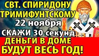 1 июля СКАЖИ: ДОСТАТОК И ДЕНЬГИ БУДУТ В ДОМЕ ВЕСЬ ГОД! Молитва Спиридону Тримифунтскому. Канон