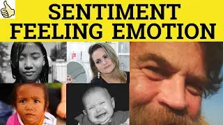 🔵 Sentiment Emotion Feeling - Sentiment Meaning - Emotion Examples -- Feeling in a Sentence