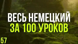 Весь Немецкий за 100 уроков. Немецкие слова и фразы. Немецкий с нуля. Немецкий язык. Часть 57