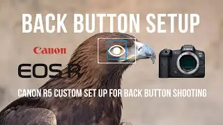 Canon R5 Back Button Auto Focus Custom Setup