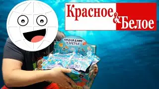 Подводное царство из КБ!