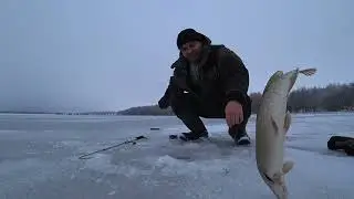 Отрезал живцам хвосты и понеслась ! Щука на жерлицы и ловля на мормышку. Рыбалка на водохранилище