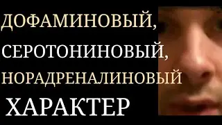 Дофаминовый, Норадреналиновый, Серотониновый характер: Насколько такая Классификация Корректна?