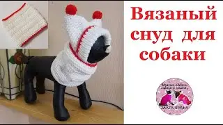 Вязаный снуд для собаки. Описание