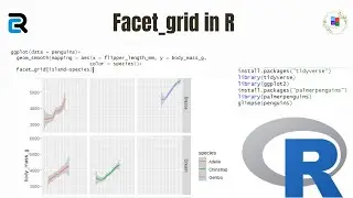 How to breakdown a visualization to smaller categories using Facet in R?