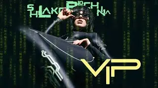 SHLAKOBLOCHINA - VIP (Lyric Video)