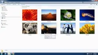 WINDOWS 10- Setting Folder View  - Basic Computer lesson