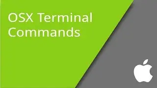 Basic Terminal Commands for OSX