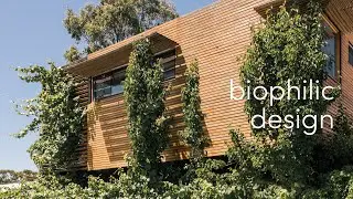 Biophilic Design - 7 Principles to Better Connect Your Home with Nature