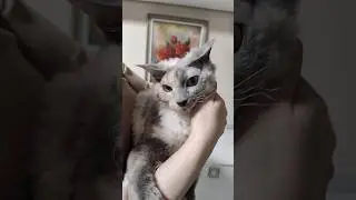 Ей уже пора домой! Может это ваша любимая девочка? 