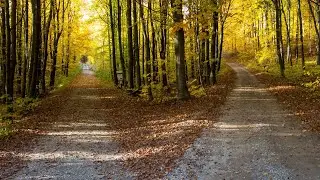 Сущности в Человеке