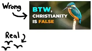 REFUTING "Birds don't exist, therefore Christianity is false" (EXPOSED!!!) ft @MajestyofReason