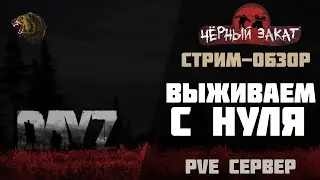 DAYZ - СТРИМ-ОБЗОР СЕРВЕРА: [RU][PVE] Black Sunset. (Черный закат)