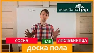 Доска пола: Сосна или Лиственница?