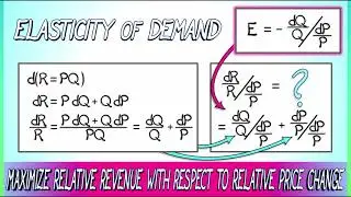 CalcGREEN 1 : Ch. 16.5 : Elasticity of Demand