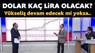 Dolar kaç Lira olacak? Yükseliş devam edecek mi yoksa...Emre Alkin ve Mert Başaran yorumladı