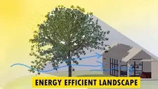 Sustainable Landscapes: How to make your yard energy efficient