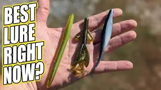 Best Lure for Bass Fishing Right Now? Which Walmart Lure Catches Bass