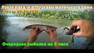 Днестр 03.07.2019.  Очередная рыбалка на 2 часа. Ловля рака, и отпускаем маленького сома.